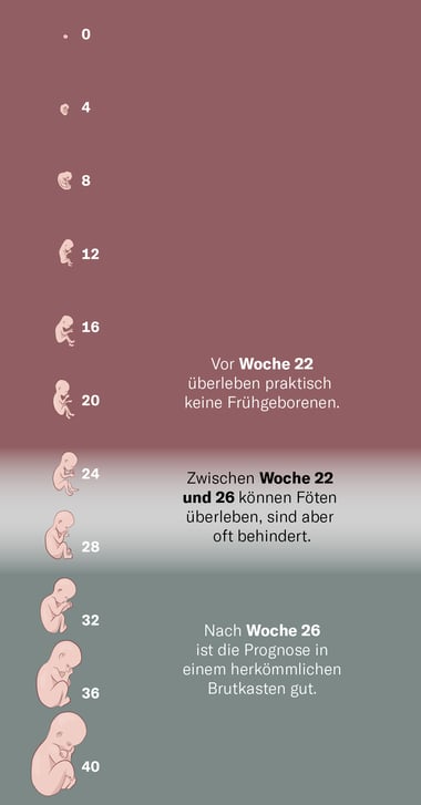 Knstliche Gebrmutter: Wie werden Menschen in Zukunft geboren?